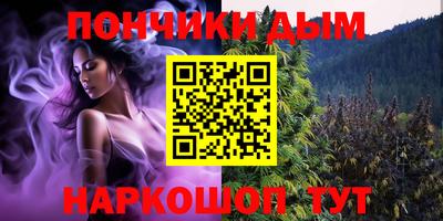 крисы Краснодар