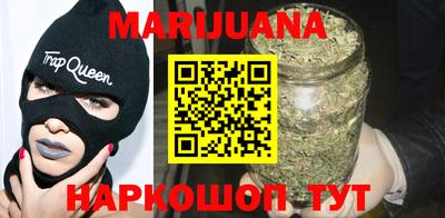 сатива Коммунар