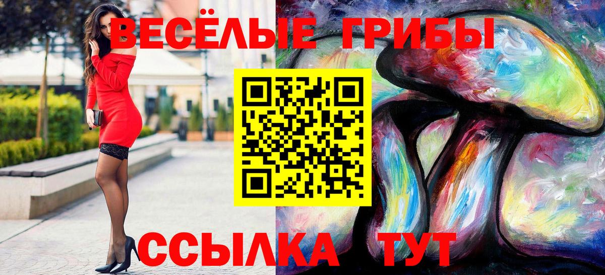 Псилоцибиновые грибы Magic Shrooms Кольчугино