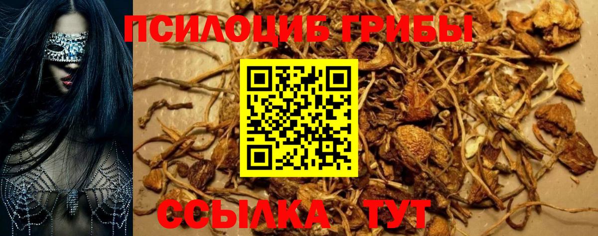 Кольчугино  цены   Вход с VPN  Галлюциногенные грибы прущие грибы 