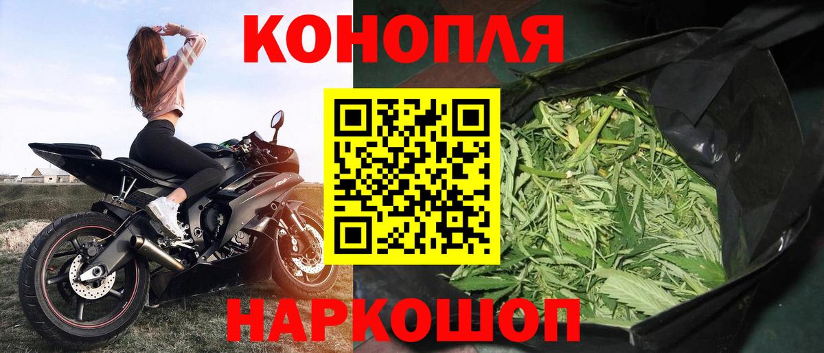 МАРИХУАНА индика Кольчугино